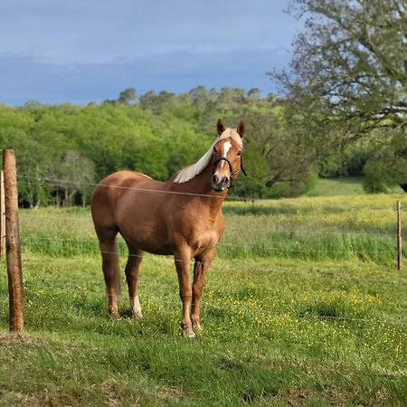 Maison Chaleureuse A La Campagne Payrignac Bagian luar foto